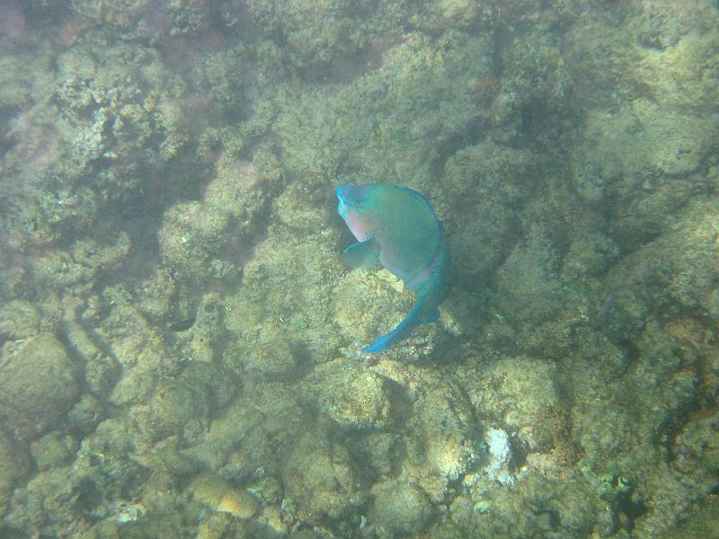 Picture 074